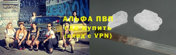 СК Горно-Алтайск