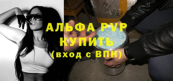хмурый Бикин
