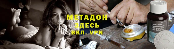 хмурый Бикин
