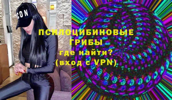хмурый Бикин