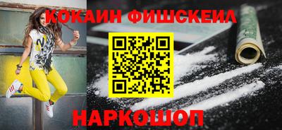 крисы Гатчина