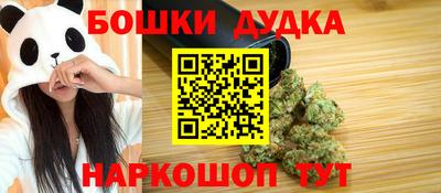 крисы Гатчина