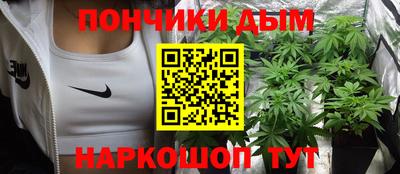крисы Гатчина
