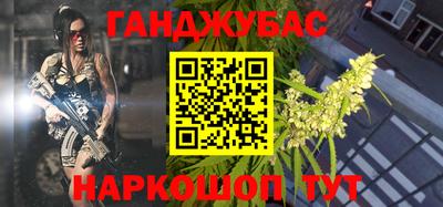 крисы Гатчина