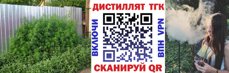 ТГК Wax  Губкин 
