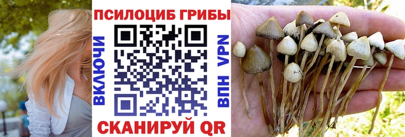 где продают наркотики Губкин Галлюциногенные грибы мухоморы