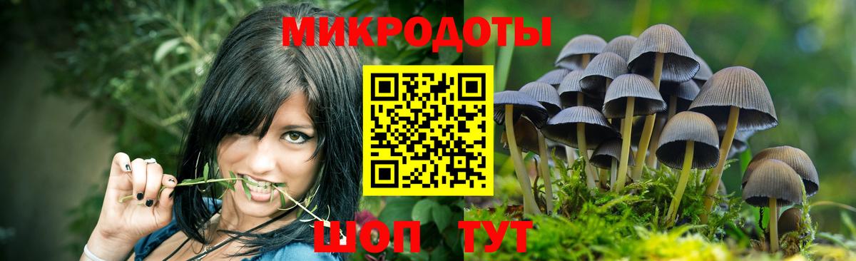 даркнет сайт  Галлюциногенные грибы ЛСД  Вход с VPN  Губкин 